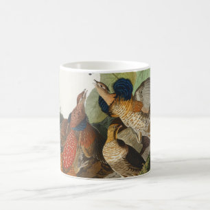 Vintage-Audubon-Raufußhuhn-Vogel-Naturkunst Kaffeetasse