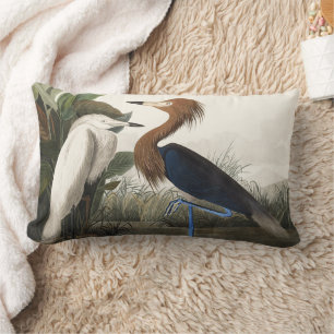 Vintage-Audubon-Rotegret-Vogelkunst Lendenkissen