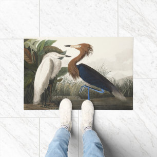 Vintage Audubon Roter Sichler Vogel Kunst Fußmatte