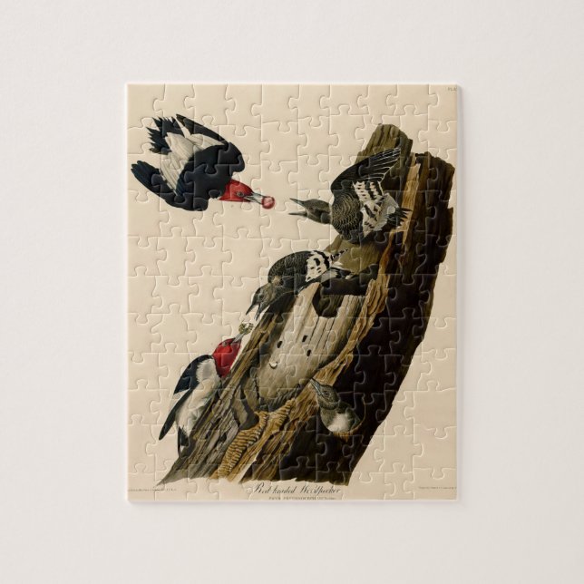 Vintage Audubon-Rotkopfspecht Puzzle (Vertikal)