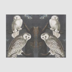 Vintage Audubon Schnee-Eule Nacht Vogel Kunst Seidenpapier