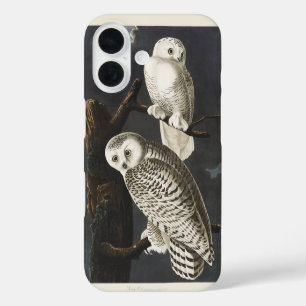 Vintage-Audubon-Schnee-Eule-Nachtvogel-Kunst iPhone 16 Hülle