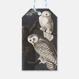 Vintage-Audubon-Schnee-Eule-Nachtvogel-Kunst Geschenkanhänger