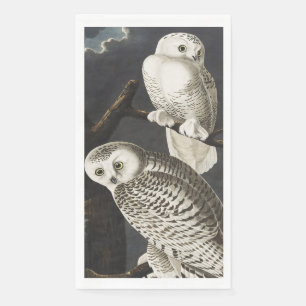 Vintage-Audubon-Schnee-Eule-Nachtvogel-Kunst Serviette