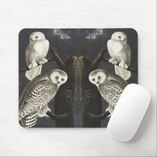 Vintage Audubon Schneeeule Nacht Vogel Kunst Mousepad