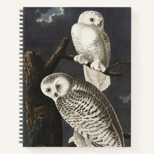 Vintage Audubon Schneeeule Nacht Vogel Kunst Notizbuch