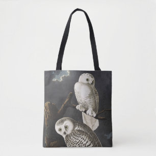 Vintage Audubon Schneeeule Nachtvogel Kunst
