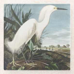 Vintage-Audubon-Schneereiher-Weißer-Reiher-Vogel-K Glasuntersetzer
