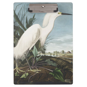 Vintage-Audubon-Schneereiher-Weißer-Reiher-Vogel-K Klemmbrett