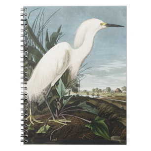 Vintage Audubon Schneereiher Weißer Reiher Vogel K Notizblock
