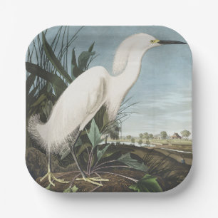 Vintage-Audubon-Schneereiher-Weißer-Reiher-Vogel-K Pappteller