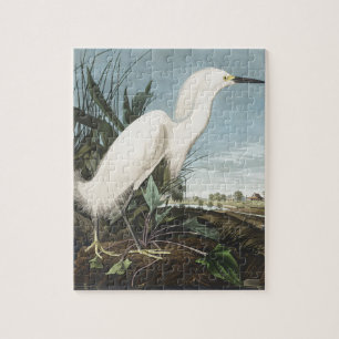 Vintage-Audubon-Schneereiher-Weißer-Reiher-Vogel-K Puzzle