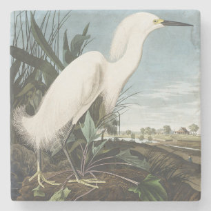 Vintage-Audubon-Schneereiher-Weißer-Reiher-Vogel-K Steinuntersetzer