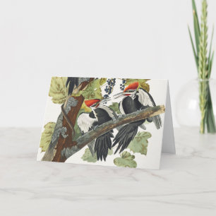 Vintage-Audubon-Specht-Vogelkunst Feiertagskarte