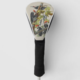 Vintage Audubon-Specht-Vogelkunst Golf Headcover