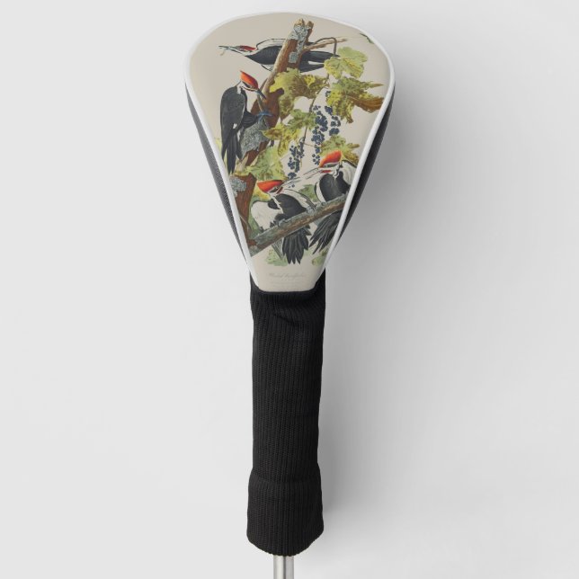 Vintage Audubon-Specht-Vogelkunst Golf Headcover (Vorderseite)