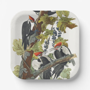 Vintage-Audubon-Specht-Vogelkunst Pappteller