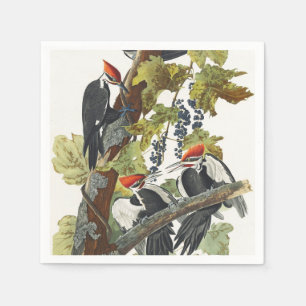 Vintage Audubon-Specht-Vogelkunst Serviette