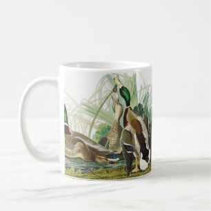 Vintage Audubon Stockente-Wildtierkunst Kaffeetasse