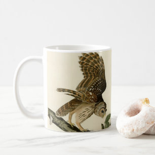 Vintage Audubon Streifen-Kauz Jagdvogel-Geschenk Kaffeetasse