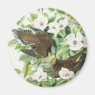 Vintage-Audubon-Trauer-Tauben-Vogel-Blumen-Kunst Magnet