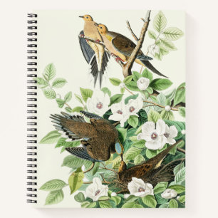 Vintage-Audubon-Trauer-Tauben-Vogel-Blumen-Kunst Notizbuch
