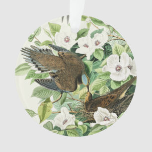 Vintage-Audubon-Trauer-Tauben-Vogel-Blumen-Kunst Ornament