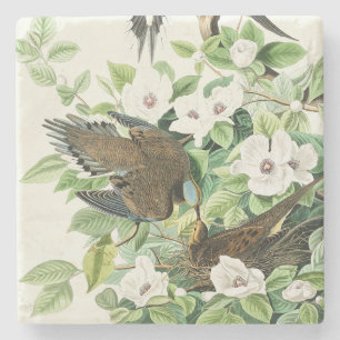 Vintage-Audubon-Trauer-Tauben-Vogel-Blumen-Kunst Steinuntersetzer