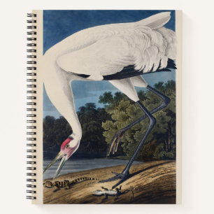 Vintage Audubon Trompeten-Kranich Vogel Natur Kuns Notizbuch