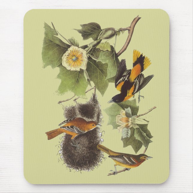 Vintage Audubon Vögel Troupial Oriole Mousepad (Vorne)