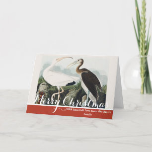 Vintage-Audubon-Weißer-Ibis-Vogel-Naturkunst Feiertagskarte