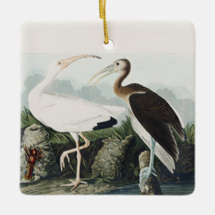 Vintage Audubon Weißer Sichler Vogel Natur Kunst Keramikornament