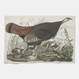 Vintage-Audubon-Wildtruthahn-Henne-und-Jungtier-Ku Geschirrtuch