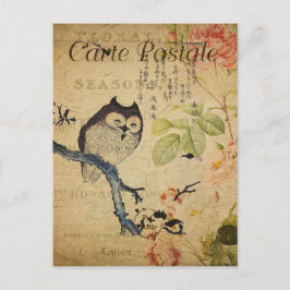 Vintage Auslage auf der französischen Straßenseite Postkarte