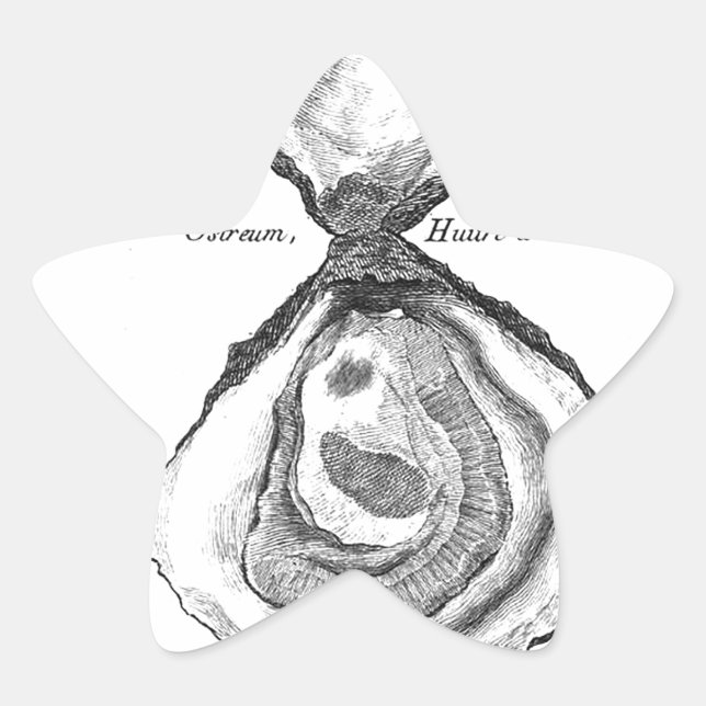 Vintage Austernausdruck Stern-Aufkleber (Vorderseite)