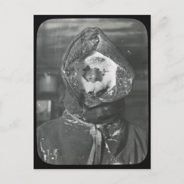 Vintage Australasische Antarktis Expedition Postka Postkarte (Vorderseite)