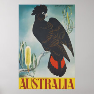 Vintage Australien Reiseplakat Schwarzer Kakadu Poster