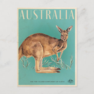 Vintage australische Kangaroo Travel Postcard Postkarte