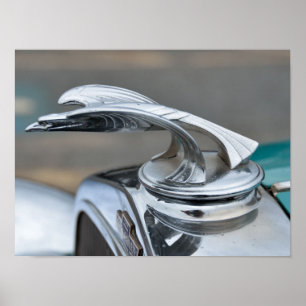 Vintage Autohaubenverzierung Poster