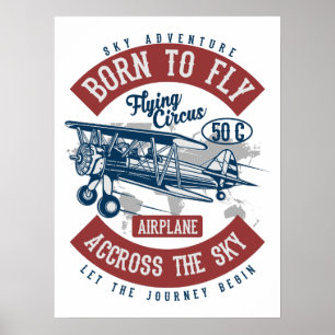 Vintage Aviation Flugzeugfarbe  Poster