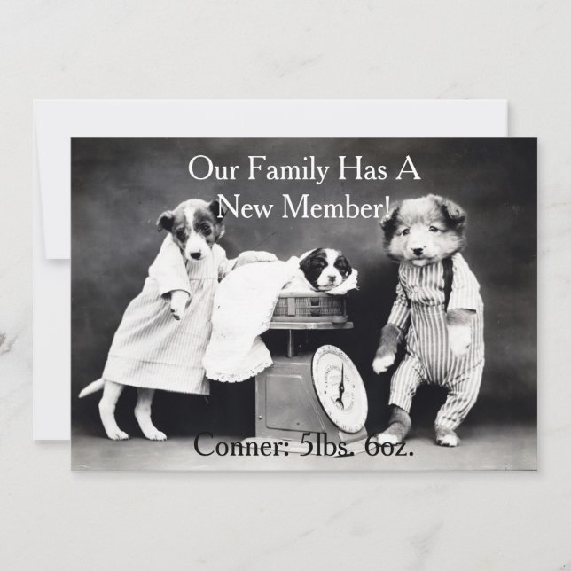 Vintage B&W Hunde Neue Welpen Ankündigung (Vorderseite)