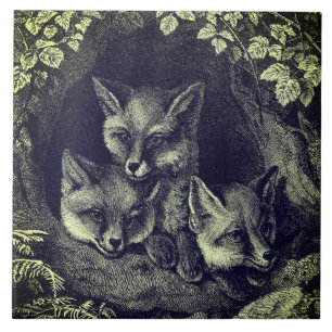 Vintage-Baby-Fuchs-Waldland Fliese