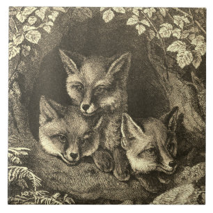Vintage-Baby-Fuchs-Waldland Fliese