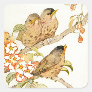 Vintage Baby Vögel und Apfelblüten Quadratischer Aufkleber
