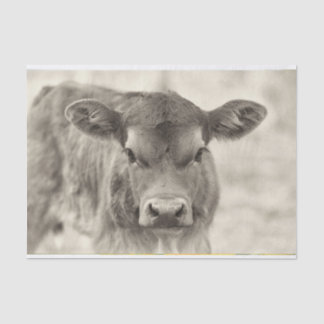 Vintage-Babykuh-Kalbstier-Tissue-Papier Seidenpapier