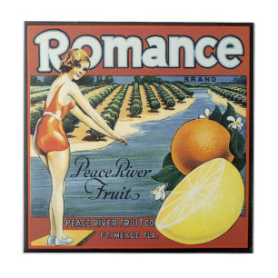 Vintage-Bade-Schönheit Obstkisten-Etikett-Kunstfli Fliese