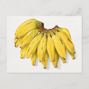 Vintage-Bananen-Frucht-Aquarellmalerei Postkarte