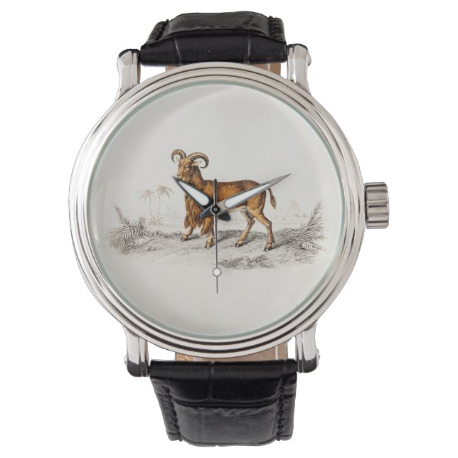 Vintage Bartziege, die Retro-Bartziegen Zeichne Armbanduhr (Vorderseite)