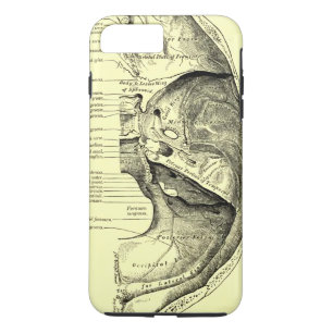 Vintage Basis der Anatomie- der inneren iPhone 8 Plus/7 Plus Hülle