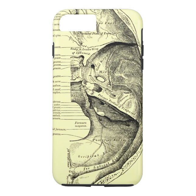 Vintage Basis der Anatomie-| der inneren Case-Mate iPhone Hülle (Rückseite)